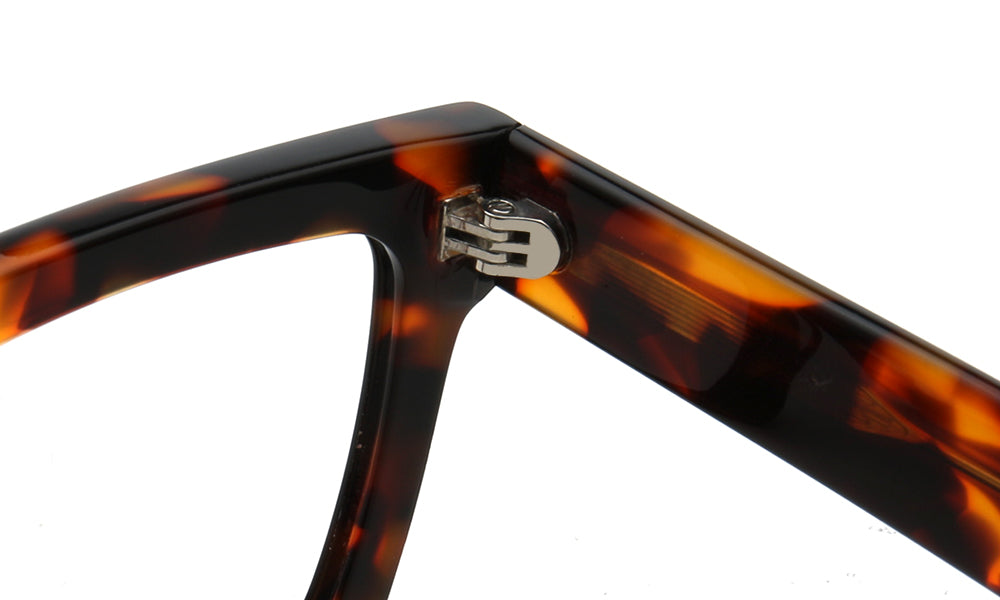 hinges of tortoise glasses frames 