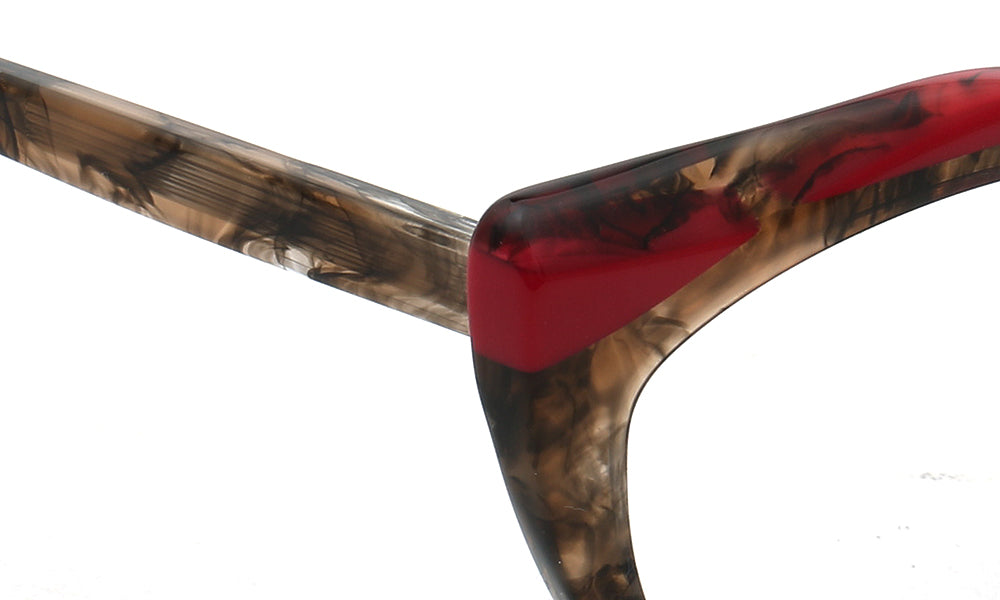 leopard print temple of glasses frames