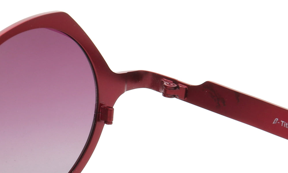 Inner hinge of red titanium sunglasses