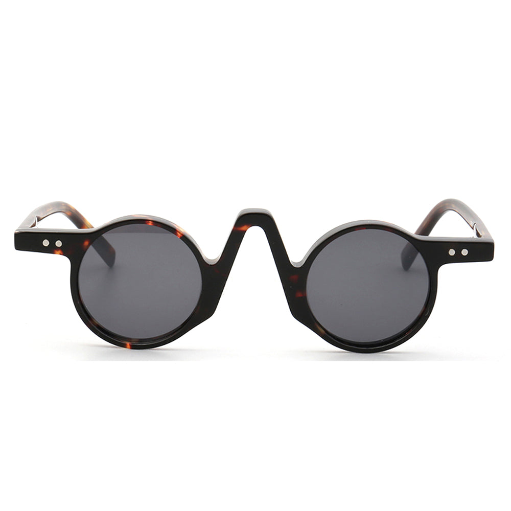 Front view of hipster tortoise polarized sunglasses