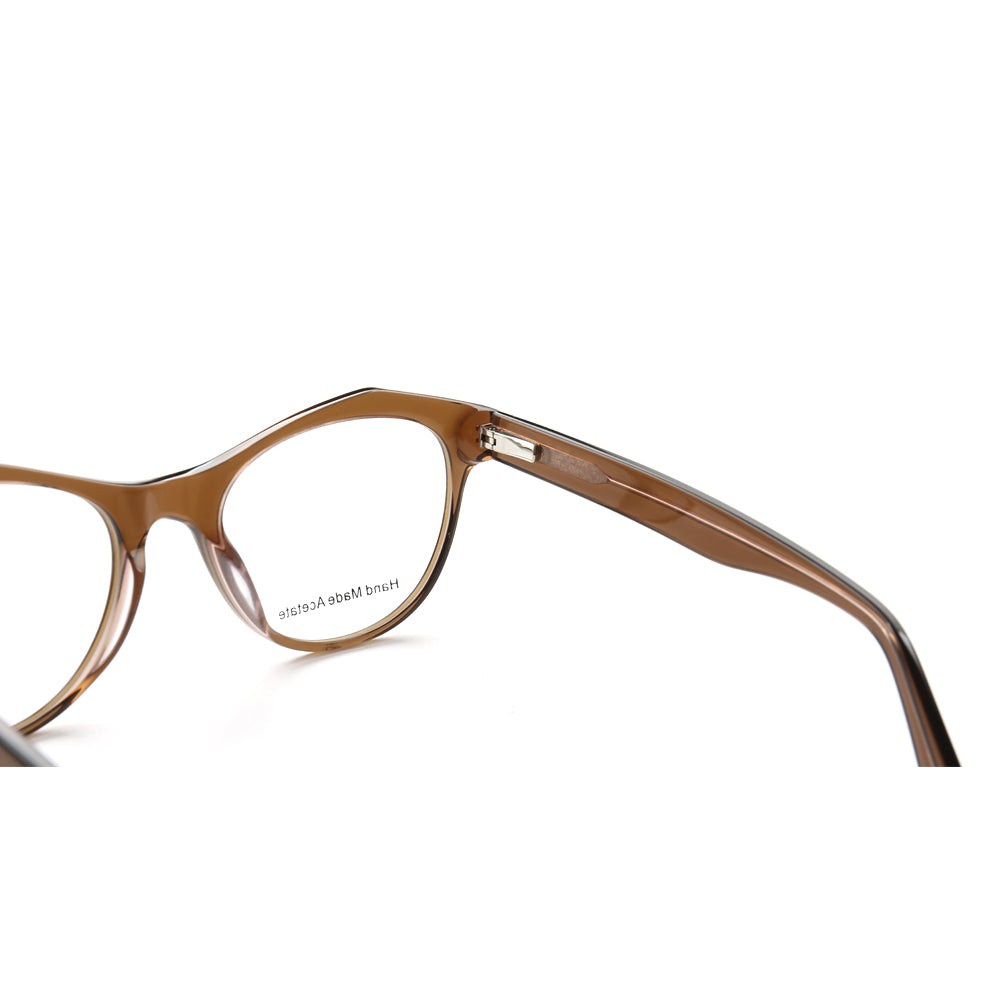 Temple of brown transparent acetate eyeglasses